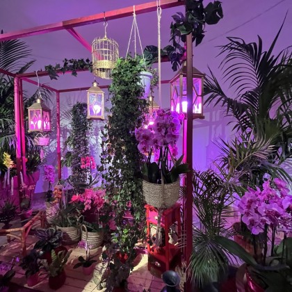 Переводчик Наталья на выставке Тропические растения