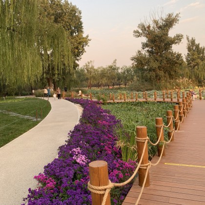 Экскурсия Парк «Chaoyang»