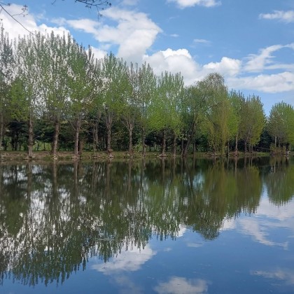 Экскурсия Вардаблур