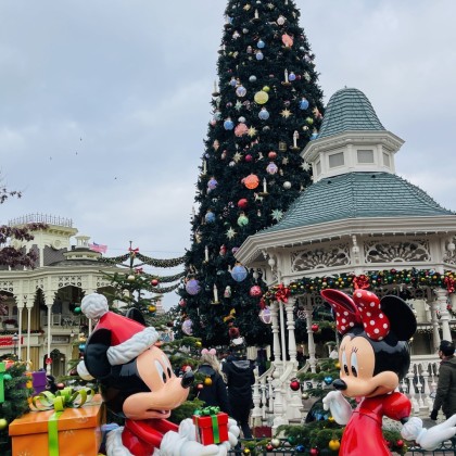 Экскурсия Disneyland, Paris