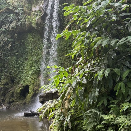 Переводчик Nataliia на выставке водопад