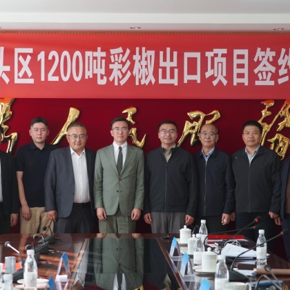 Перевод на совещании между правительством города и делегацией Казахстана