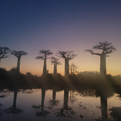 Экскурсия alles des baobab