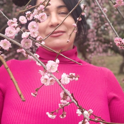 Экскурсия Осака Замок