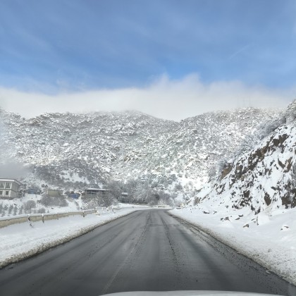 Экскурсия в Шахрисабз 