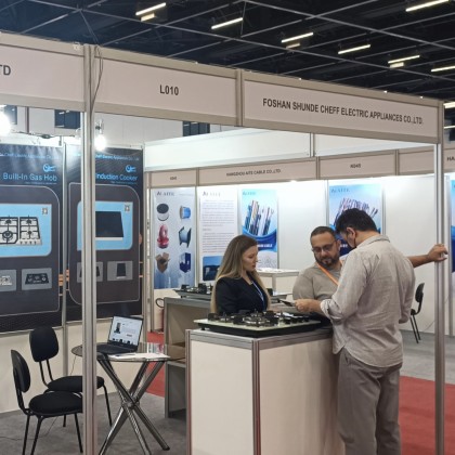 Переводчик Светлана на выставке CHINA HOME LIFE TRADE FAIR