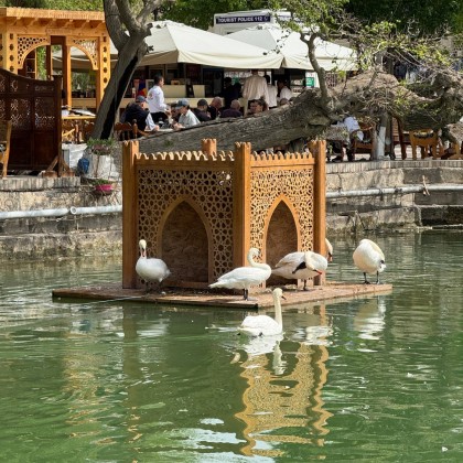 Переводчик Nodira на выставке в Бухаре в исторической части города