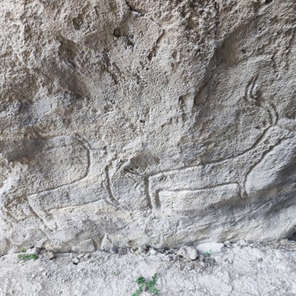 Экскурсия В Баку в заповедник Гобустан