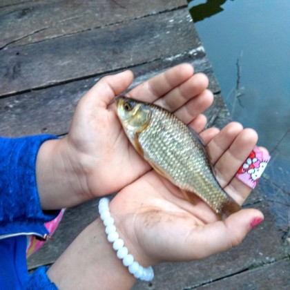 Экскурсия рыбалка в Дилижане, улов