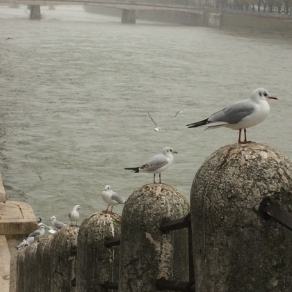 Экскурсия по волшебному городу - Верона