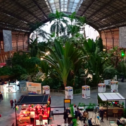 Экскурсия в Мадриде