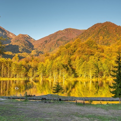 Переводчик Мишо на выставке зеленое озеро