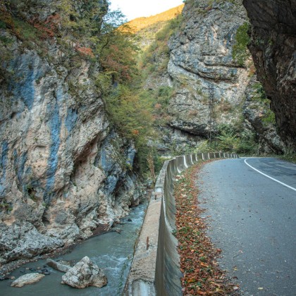Переводчик Мишо на выставке орпири
