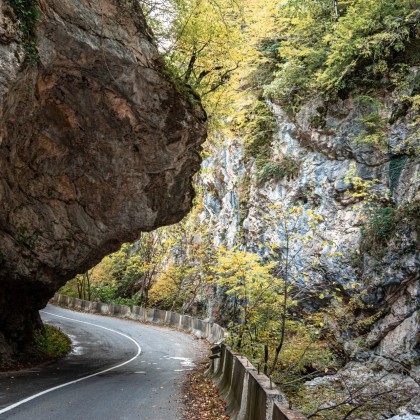 Переводчик Мишо на выставке орпири