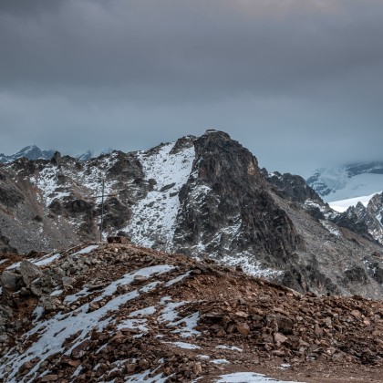 Переводчик Мишо на выставке тетнулди