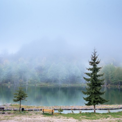 Переводчик Мишо на выставке зеленое озеро