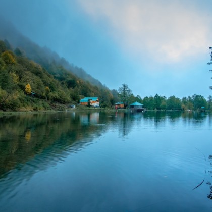 Переводчик Мишо на выставке зеленое озеро