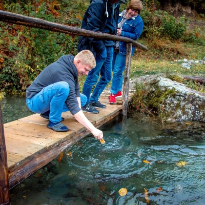 Переводчик Мишо на выставке зеленое озеро