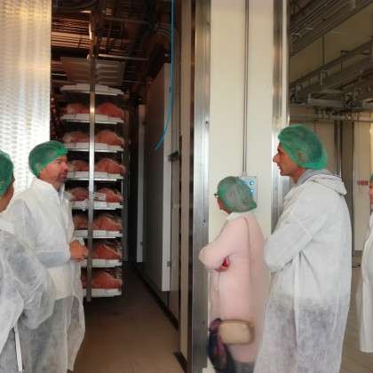 Перевод на заводе Пармской ветчины, Zuarina