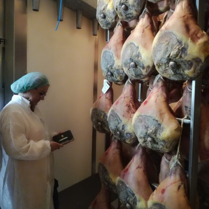 Перевод на заводе Пармской ветчины, Zuarina