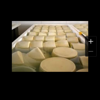 Экскурсия в Парме, сыроварня