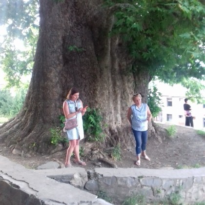 Экскурсия в Кахетии