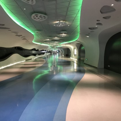 Экскурсия в Шанахе