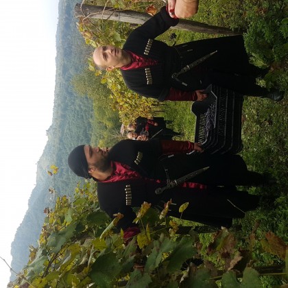 Экскурсия Сбор винограда