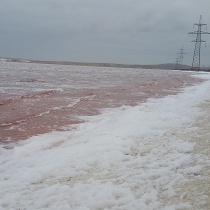 Экскурсия на Розовом озере