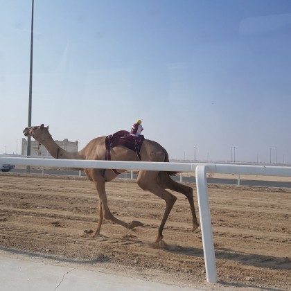 Экскурсия Катар , Доха