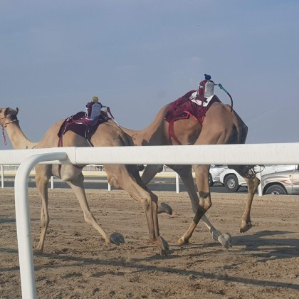 Экскурсия Катар , Доха