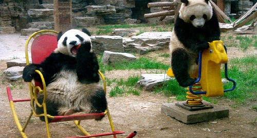 Пекин_Зоопарк